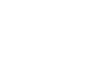 REFERANS-Yildirimlar