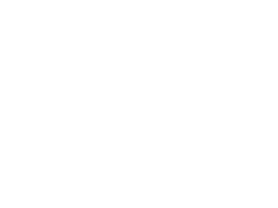 REFERANS-regulus
