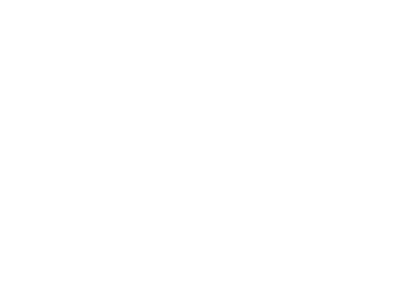bline sofia logo
