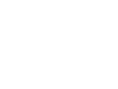 zih-yapi logo
